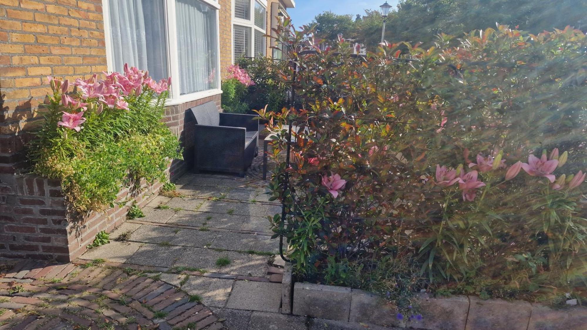 Guesthouse Zandvoort Bagian luar foto